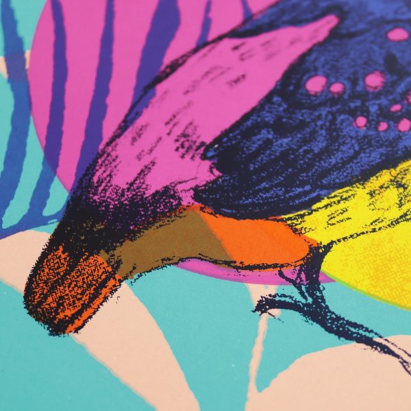 Dwarf Kingfisher Screen Print