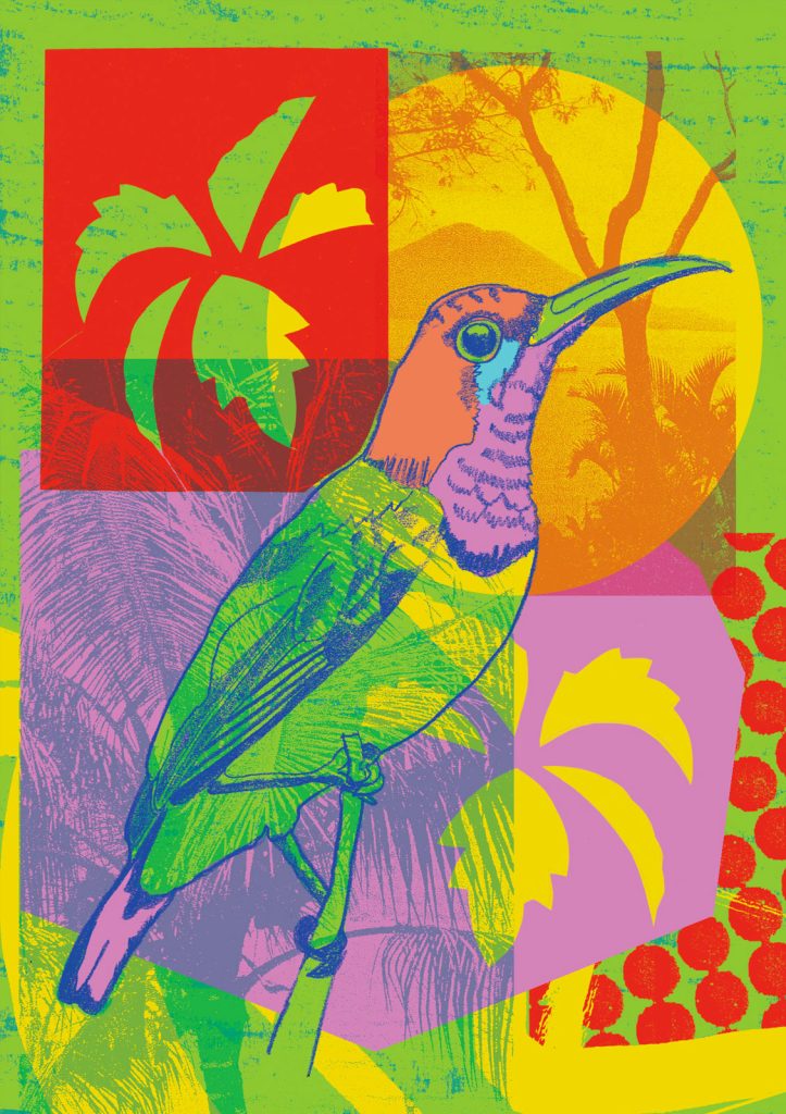 Melissa-North_Sunbird-illustration