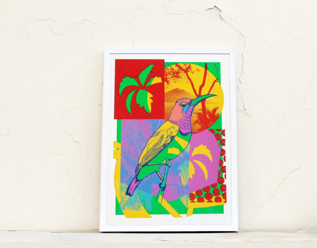 Melissa-North_Sunbird